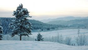 Yukon Winter Dream | Active Winter Adventure, Multi-Day Tour, Northernlights, Adventure, Dog Sledding, Snowmobiling, Winter, Snowshoeing, Hot Springs, Flying, Wildlife Viewing, Sightseeing