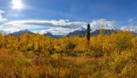 Golden Aurora Circle | Yukon & Alaska Summits, Multi-Day Tour, Northernlights, Sightseeing, Summer/Fall, Hiking, Flying, Wildlife Viewing, Sightseeing
