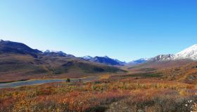 Arctic Tundra & Dawson City | Fall colors at their best, Multi-Day Tour, Northernlights, Sightseeing, Summer/Fall, Hiking, Wildlife Viewing, Sightseeing