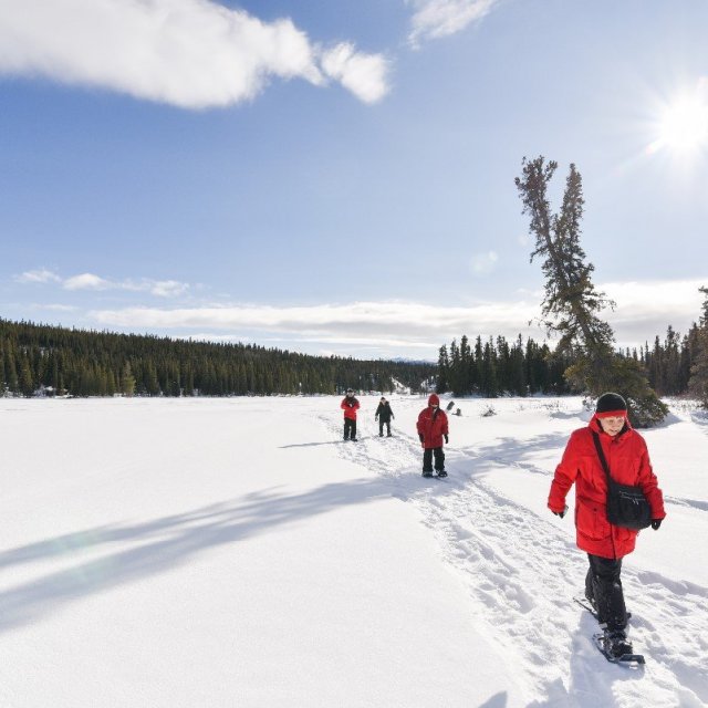 Arctic Day: Snowshoeing | half day (Mar 9 , 2019)
