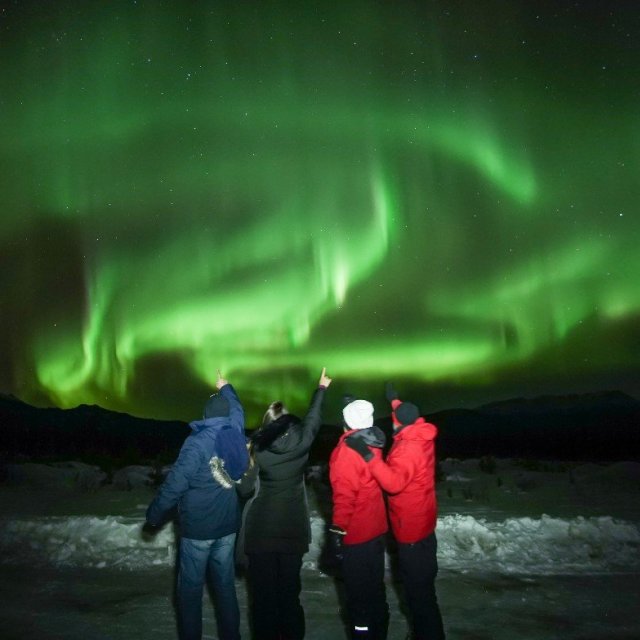 Arctic Day: Aurora Borealis Viewing | evening (Mar 3, 2019)