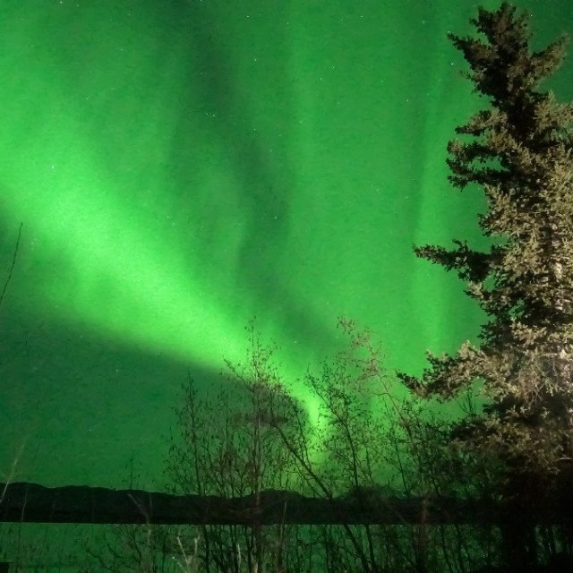 Arctic Day: Aurora Borealis Viewing | evening (Mar 31, 2019)