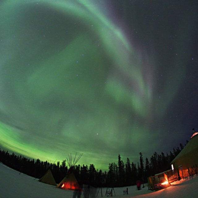 Arctic Day: Aurora Borealis Viewing | evening (Feb 16, 2017)