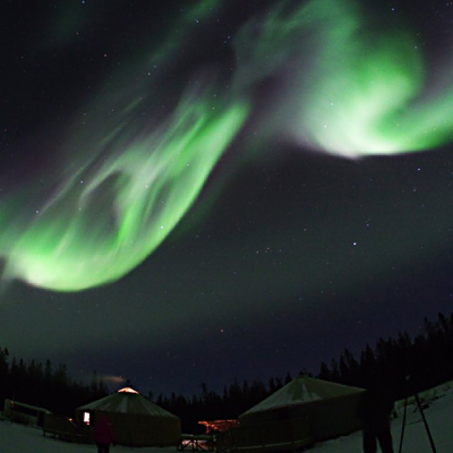Arctic Day: Aurora Borealis Viewing | evening (Mar 1, 2017)
