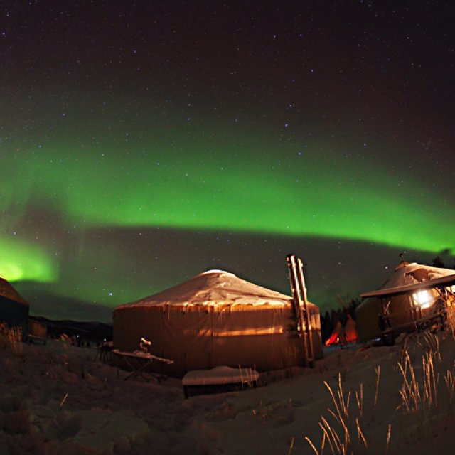 Arctic Day: Aurora Borealis Viewing | evening (Dec 30, 2016)
