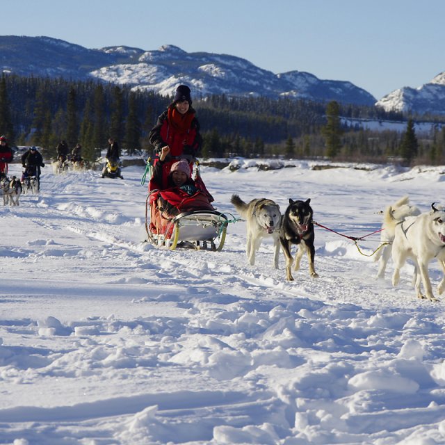 Arctic Day: Dog Sledding | half day (Feb 4, 2013)