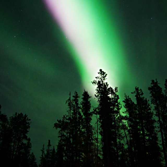 Arctic Day: Aurora Borealis Viewing | evening (Seg 19, 2015)