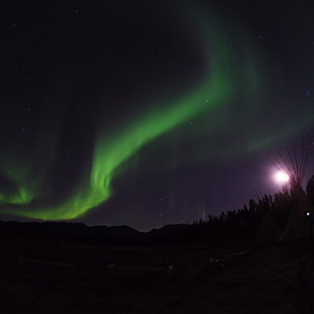 Arctic Day: Aurora Borealis Viewing | evening (Oct 2, 2015)