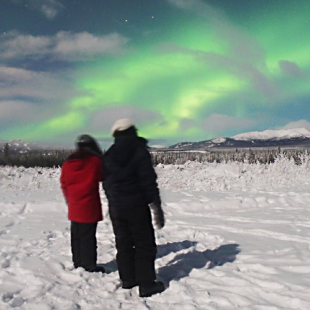 Arctic Day: Aurora Borealis Viewing | evening (Dec 21, 2015)