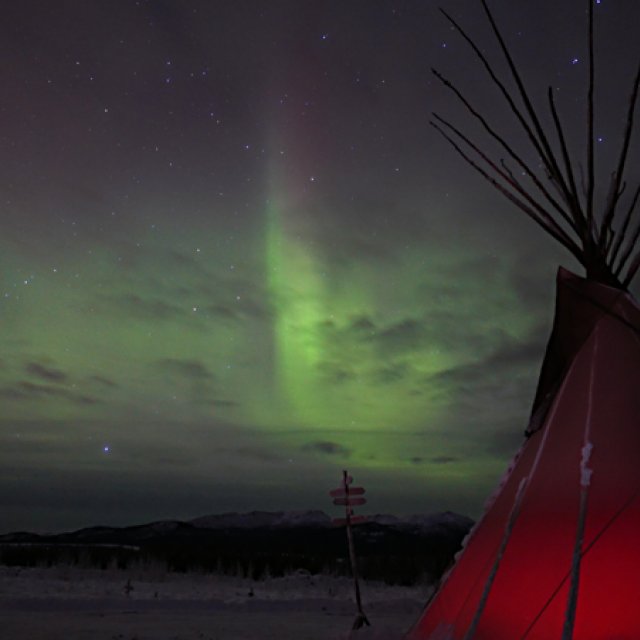 Arctic Day: Aurora Borealis Viewing | evening (Jan 9, 2016)