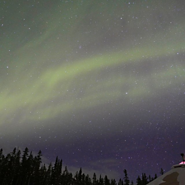 Arctic Day: Aurora Borealis Viewing | evening (Jan 31, 2016)