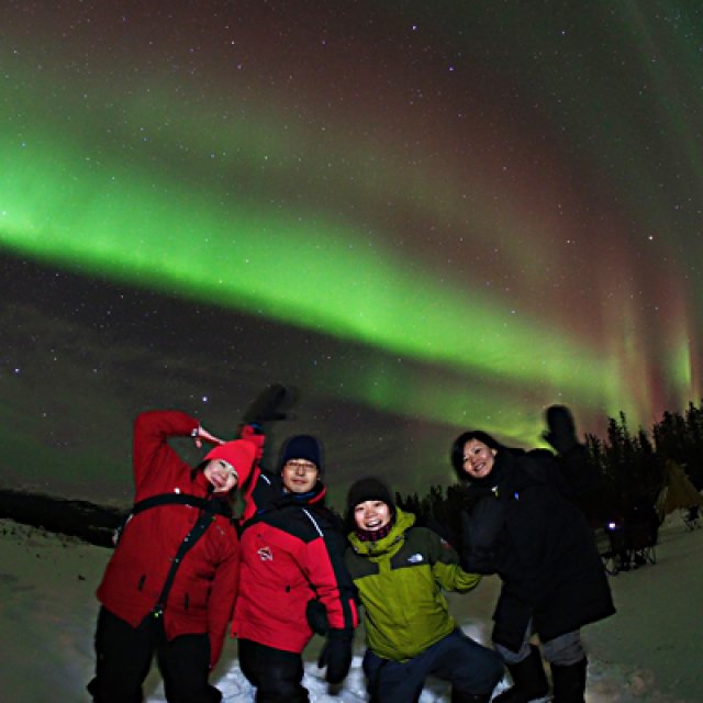 Arctic Day: Aurora Viewing | evening (Feb 11, 2016)