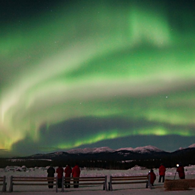 Arctic Day: Aurora Borealis Viewing | evening (Feb 18, 2016)