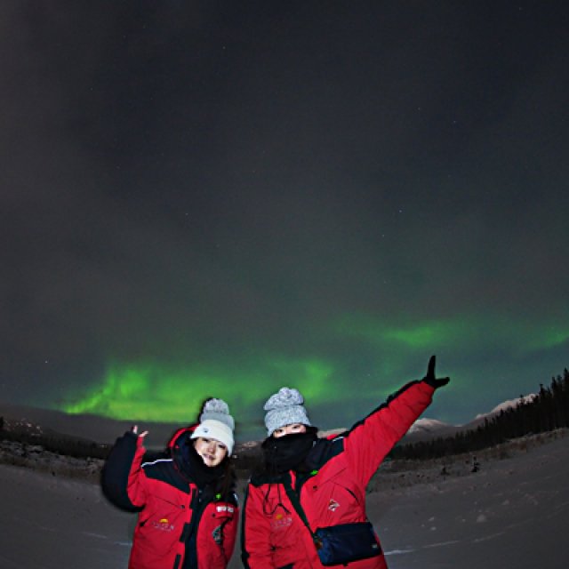 Arctic Day: Aurora Borealis Viewing | evening (Dec 9, 2016)