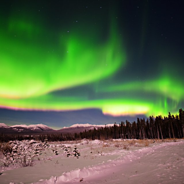 Arctic Day: Aurora Borealis Viewing | evening (Dec 10, 2016)