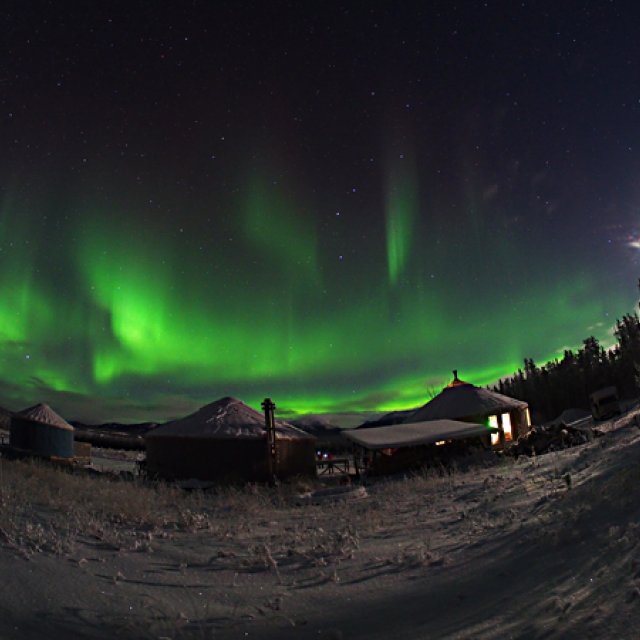 Arctic Day: Aurora Borealis Viewing | evening (Dec 18, 2016)