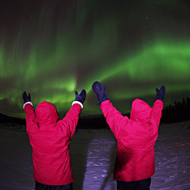 Arctic Day: Aurora Borealis Viewing | evening (Jan 17, 2017)