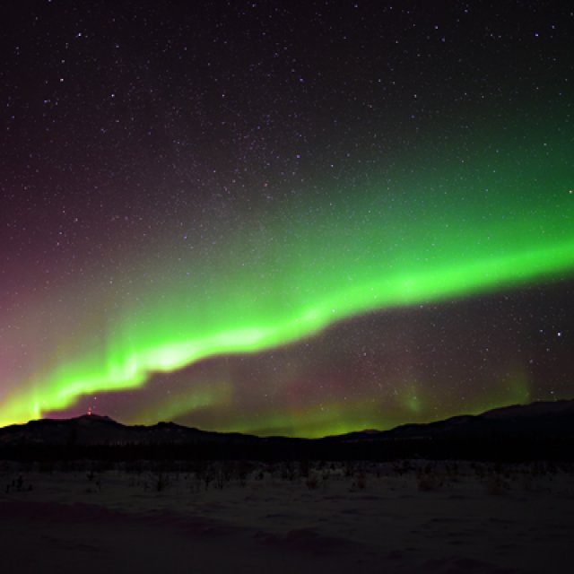 Arctic Day: Aurora Borealis Viewing | evening (Jan 20, 2017)