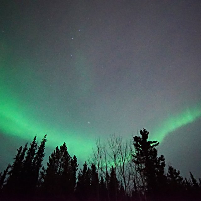 Arctic Day: Aurora Borealis Viewing | evening (Apr 3, 2017)