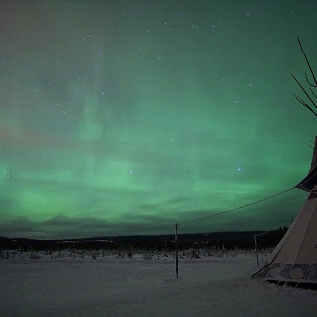 Arctic Day: Aurora Borealis Viewing | evening (Jan 21, 2020)