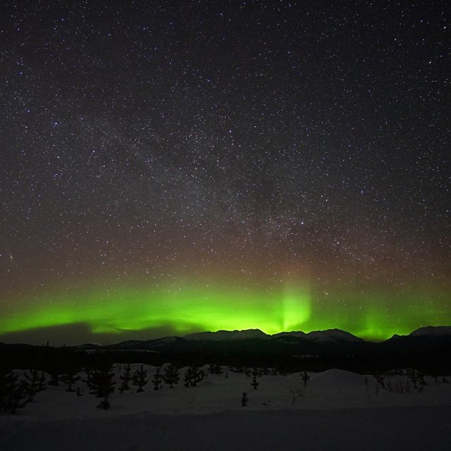 Arctic Day: Aurora Borealis Viewing | evening (Mar 14, 2020)