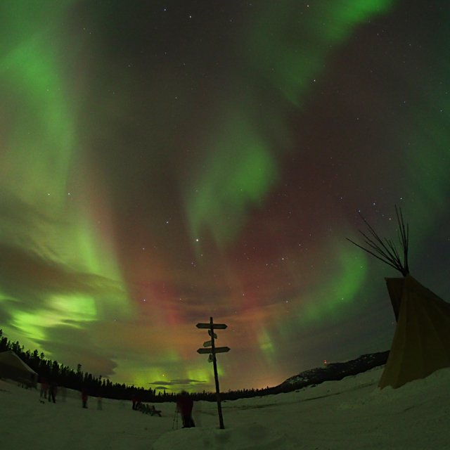 Arctic Day: Aurora Borealis Viewing | evening (Mar 16, 2015)