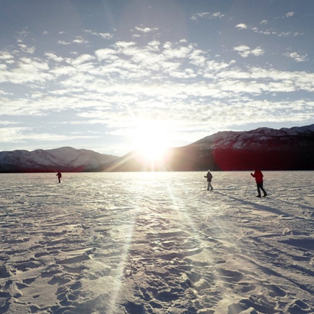 Arctic Day: Cross Country Ski Tour | half day (Jan 4, 2016)