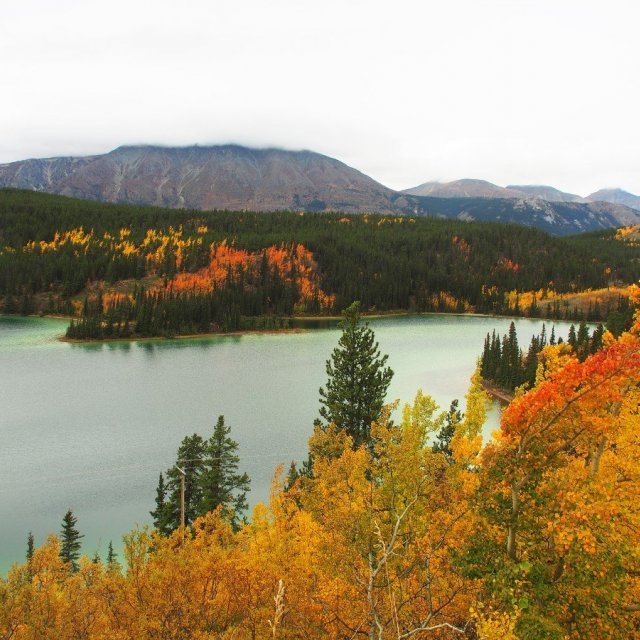 Arctic Day: Carcross & Southern Lakes Hiking Tour | Full day (Sep 13, 2019)