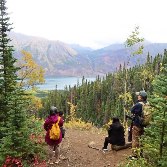 Arctic Day: Carcross & Southern Lakes Hiking Tour | Full day (Sep 10, 2021)