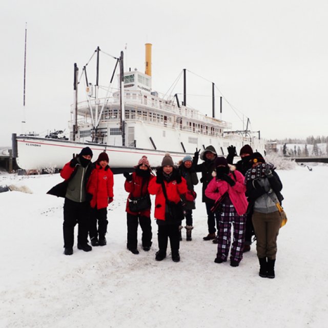 Arctic Day: Wilderness City Tour | half day (Dec 28, 2015)