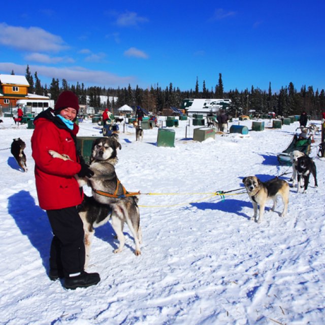 Arctic Day: Dog Sledding | half day (Mar 18, 2017)