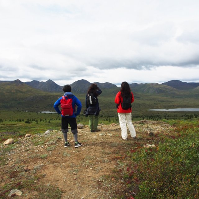Arctic Day: Hiking Tour | full day (Aug 16, 2016)