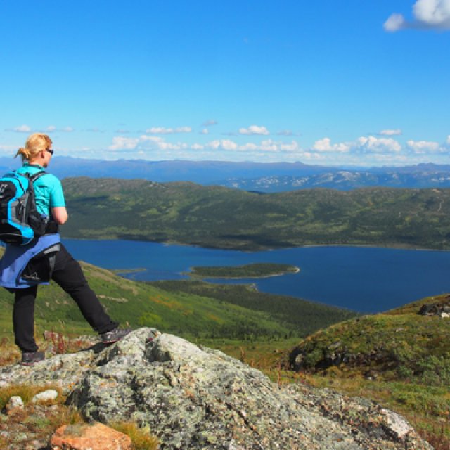 Arctic Day: Hiking Tour | full day (Aug 15, 2015)