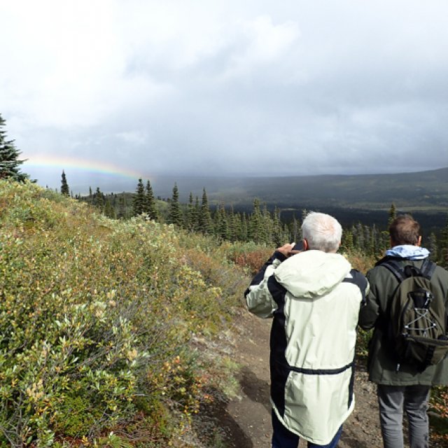Arctic Day: Hiking Tour | full day (Aug 22, 2015)