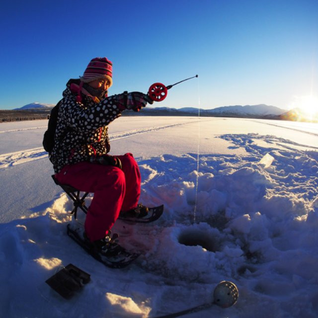 Arctic Day: Ice Fishing | half day (Dec 15, 2016)