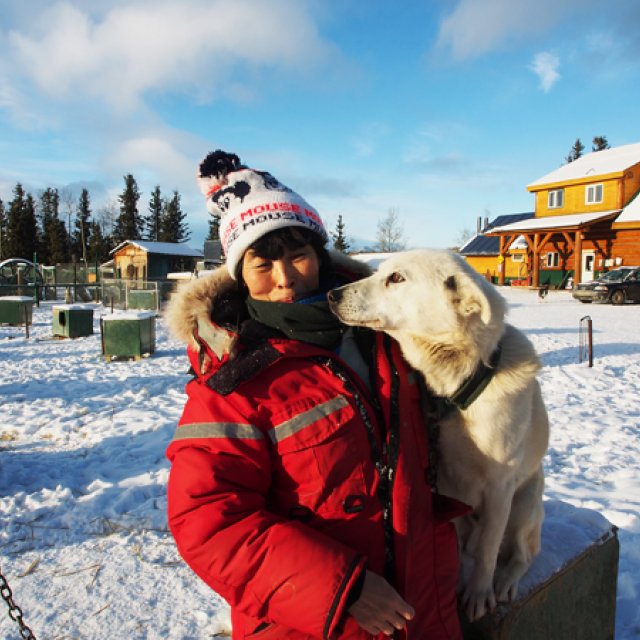 Arctic Day: Taste the snow | Multi-activity tour (Nov 20, 2015)