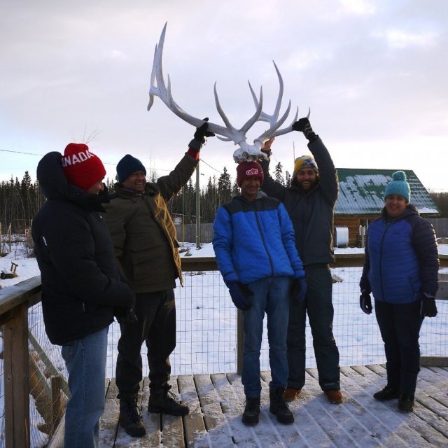 Arctic Day: Wildlife & Hot Springs | half day (Dec 17, 2018)