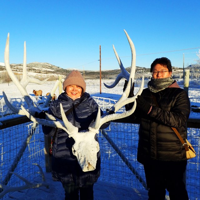 Arctic Day: Wildlife & Hot Springs | half day (Dec 10, 2015)