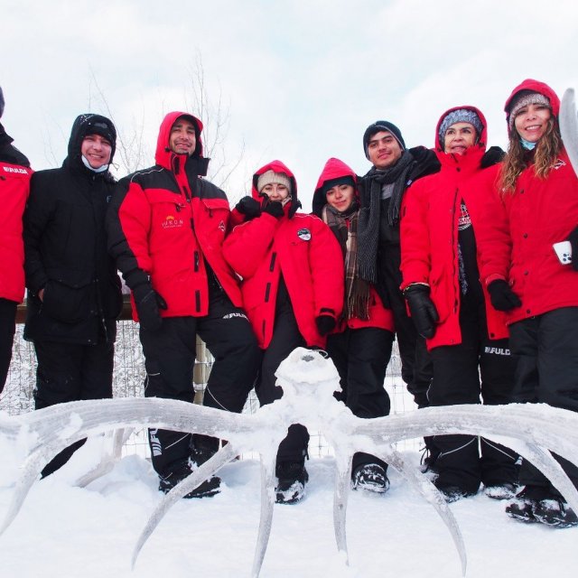 Arctic Day: Yukon Wildlife Viewing Tour | half day (Jan 11, 2022)