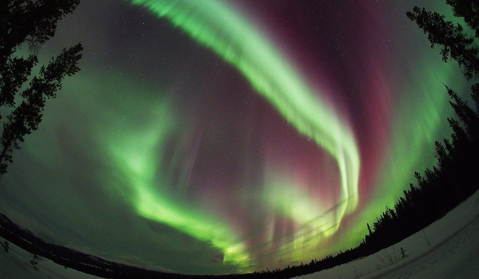 Arctic Day: Aurora Borealis Viewing | evening