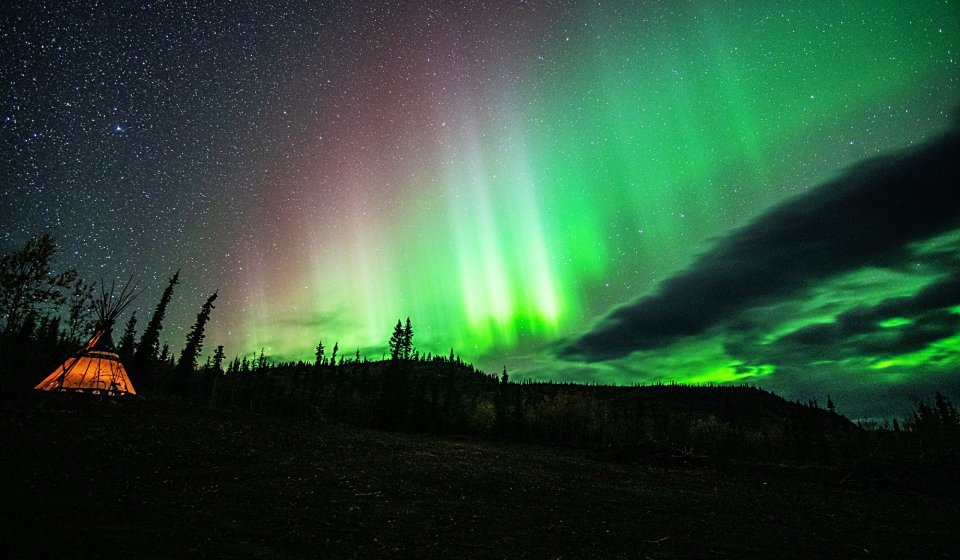 Tour de observación de Auroras | Vida Salvaje