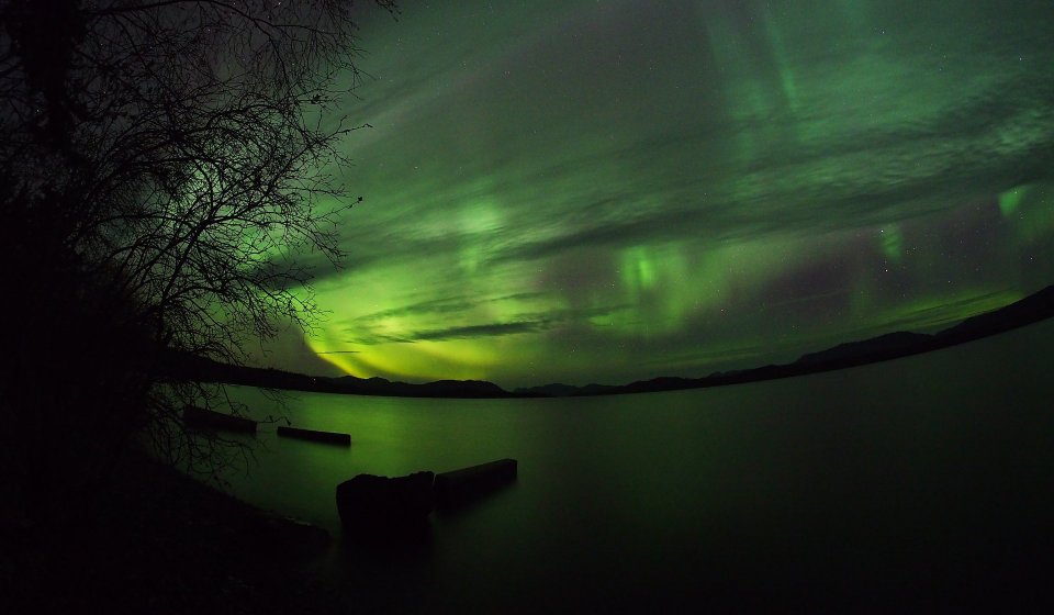 Tour de observación de Auroras | Senderismo, Reserva de animales y aguas termales 