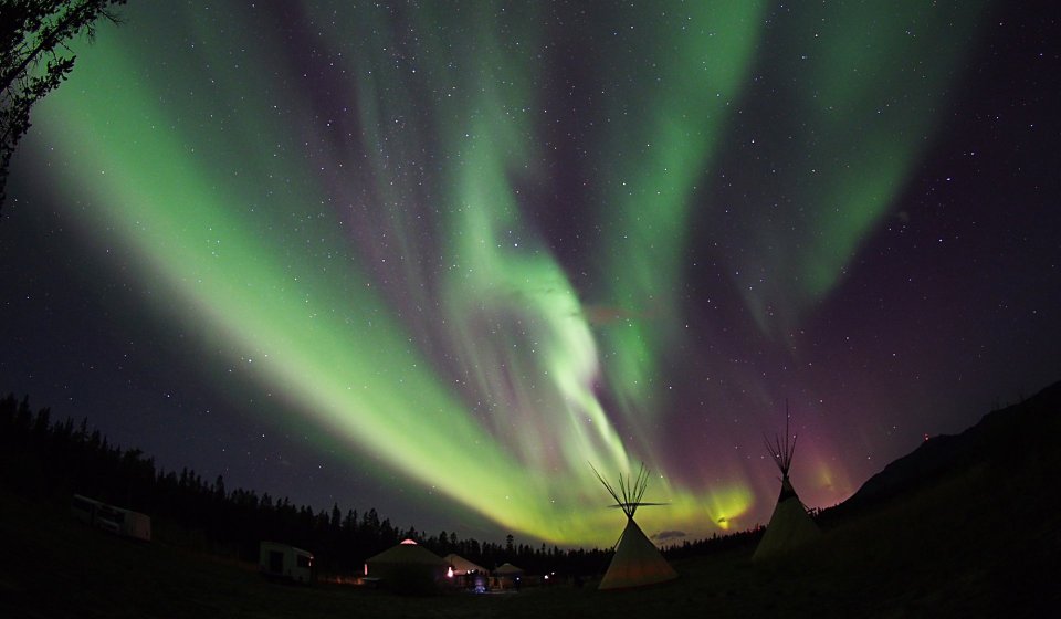 Tour de observación de Auroras | Reserva de animales y aguas termales