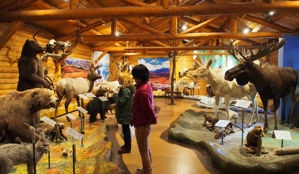 Arctic Day: Taste Of Northern History | half day