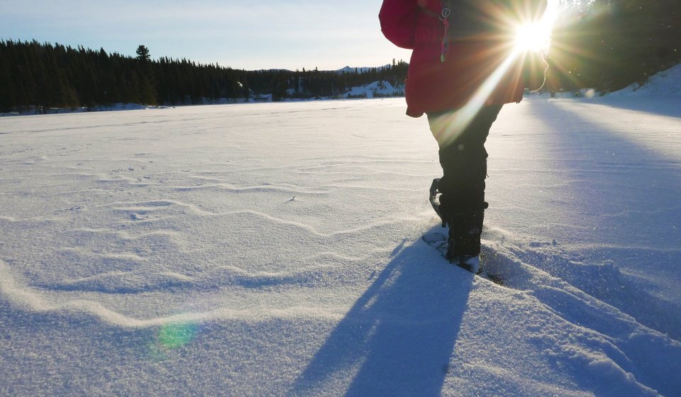 Día Ártico: Raquetas de nieve | Medio día