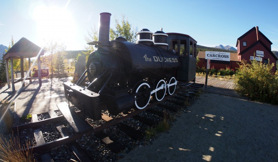 Día Ártico: Tren White Pass y Skagway | Día completo