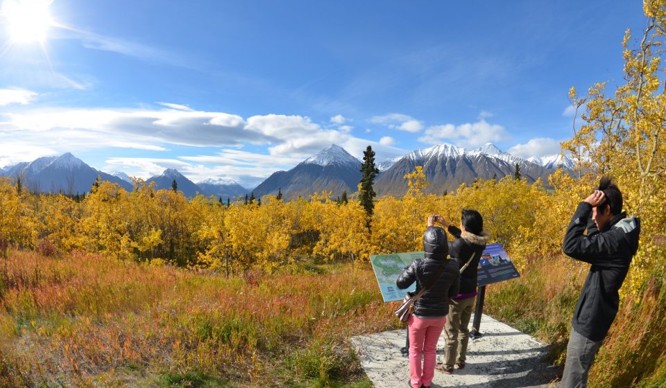 Día Ártico: Parque Nacional Kluane | Día completo