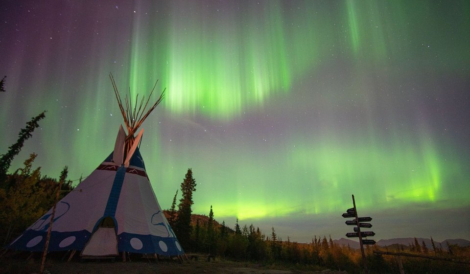 Tour de observación de Auroras | Vida Salvaje