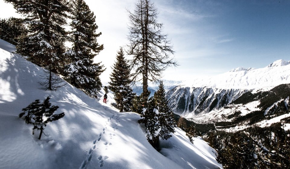 Técnicas de supervivencia en el invierno ártico | Curso al aire libre