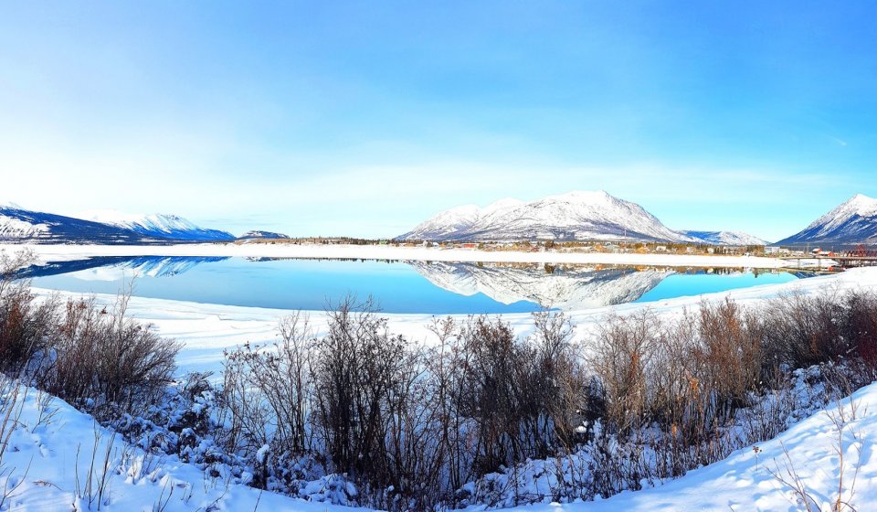 Dia Artico : Tour de Raquetas de Nieve en Carcross y Lagos del Sur | Día Completo